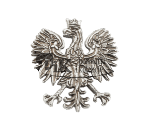 Przypinka orzeł współczesny